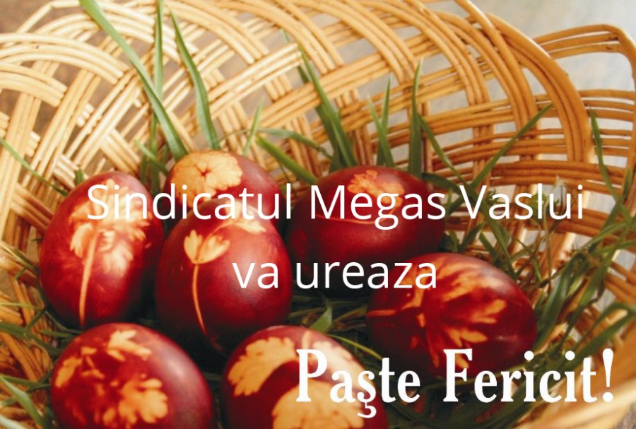paste_fericit