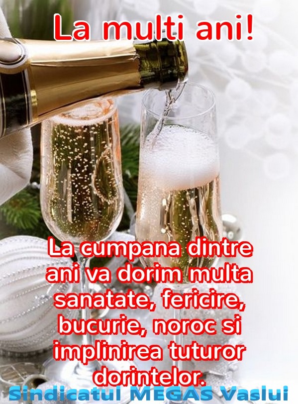 La Multi Ani_articol